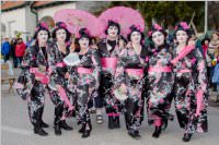 Zillingdorfer Faschingsumzug, 09.02.2016