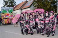 Zillingdorfer Faschingsumzug, 09.02.2016