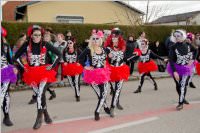 Zillingdorfer Faschingsumzug, 09.02.2016