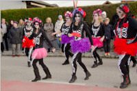 Zillingdorfer Faschingsumzug, 09.02.2016