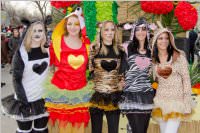 Zillingdorfer Faschingsumzug, 09.02.2016