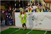 Zillingdorfer Faschingsumzug, 09.02.2016