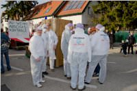 Zillingdorfer Faschingsumzug, 09.02.2016