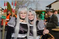 Zillingdorfer Faschingsumzug, 09.02.2016