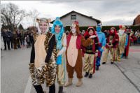 Zillingdorfer Faschingsumzug, 28.02.2017