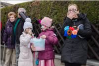 Zillingdorfer Faschingsumzug, 28.02.2017