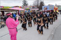 Zillingdorfer Faschingsumzug, 28.02.2017