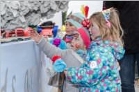 Zillingdorfer Faschingsumzug, 28.02.2017