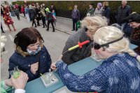 Zillingdorfer Faschingsumzug, 28.02.2017