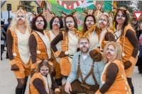 Zillingdorfer Faschingsumzug, 28.02.2017