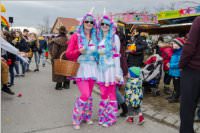 Zillingdorfer Faschingsumzug, 28.02.2017
