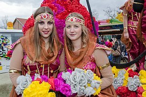 Zillingdorfer Faschingsumzug, 28.02.2017