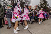 Zillingdorfer Faschingsumzug, 13.02.2018