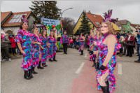 Zillingdorfer Faschingsumzug, 13.02.2018