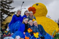 Zillingdorfer Faschingsumzug, 13.02.2018