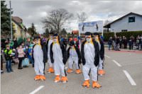 Zillingdorfer Faschingsumzug, 05.03.2019