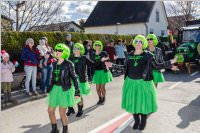 Zillingdorfer Faschingsumzug, 05.03.2019