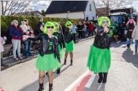 Zillingdorfer Faschingsumzug, 05.03.2019
