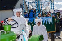 Zillingdorfer Faschingsumzug, 05.03.2019