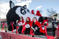 Zillingdorfer Faschingsumzug, 05.03.2019