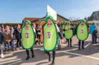 Zillingdorfer Faschingsumzug, 21.02.2023