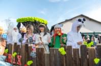 Zillingdorfer Faschingsumzug, 04.03.2025