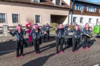 Zillingdorfer Faschingsumzug, 17.02.2026