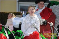 Zillingdorfer Faschingsumzug, 21.02.2012