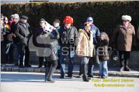 Zillingdorfer Faschingsumzug, 21.02.2012