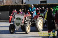 Zillingdorfer Faschingsumzug, 21.02.2012