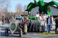 Zillingdorfer Faschingsumzug, 21.02.2012