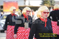 Zillingdorfer Faschingsumzug, 21.02.2012