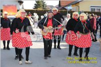 Zillingdorfer Faschingsumzug, 21.02.2012