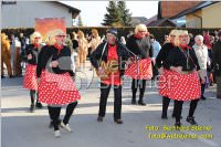 Zillingdorfer Faschingsumzug, 21.02.2012