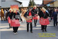 Zillingdorfer Faschingsumzug, 21.02.2012