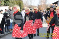 Zillingdorfer Faschingsumzug, 21.02.2012