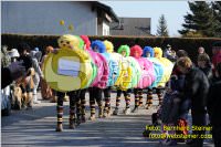 Zillingdorfer Faschingsumzug, 21.02.2012