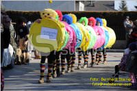 Zillingdorfer Faschingsumzug, 21.02.2012