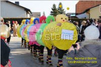 Zillingdorfer Faschingsumzug, 21.02.2012
