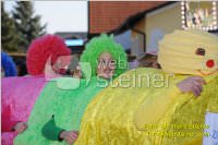 Zillingdorfer Faschingsumzug, 21.02.2012