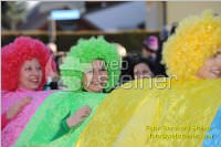Zillingdorfer Faschingsumzug, 21.02.2012