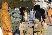 Zillingdorfer Faschingsumzug, 21.02.2012