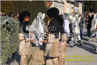 Zillingdorfer Faschingsumzug, 21.02.2012