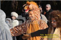 Zillingdorfer Faschingsumzug, 21.02.2012