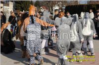 Zillingdorfer Faschingsumzug, 21.02.2012