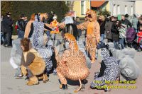 Zillingdorfer Faschingsumzug, 21.02.2012
