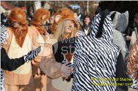 Zillingdorfer Faschingsumzug, 21.02.2012