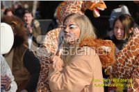 Zillingdorfer Faschingsumzug, 21.02.2012