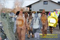 Zillingdorfer Faschingsumzug, 21.02.2012