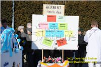 Zillingdorfer Faschingsumzug, 21.02.2012